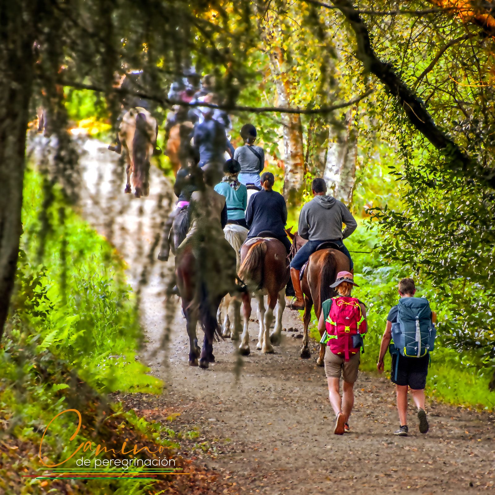 Camino francés desde Sarria, del 2 al 8 de octubre24