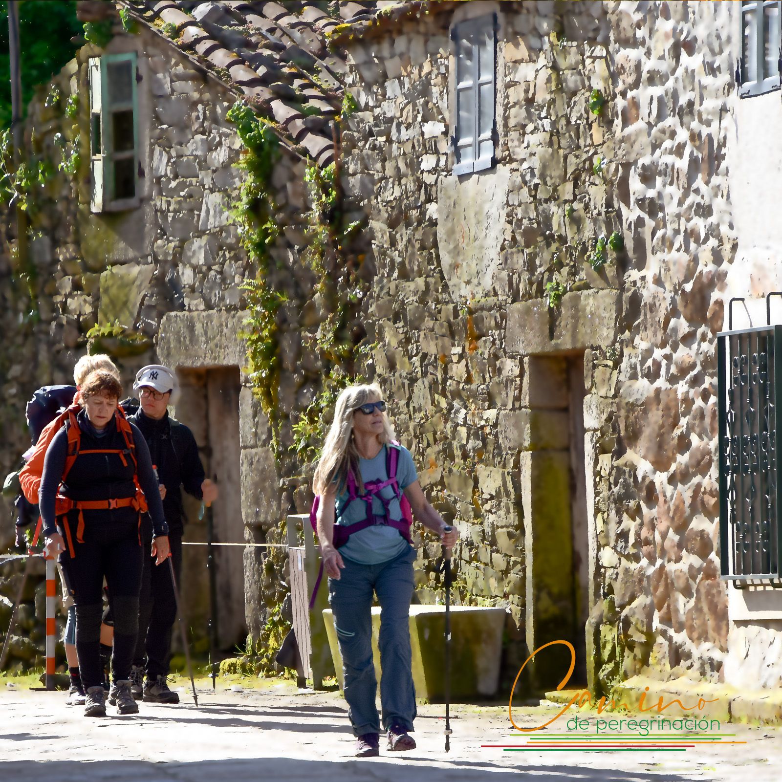 Camino francés desde Sarria, del 23 al 29 de octubre24