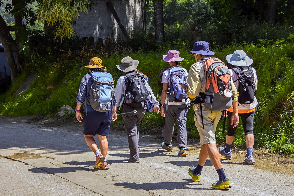 Camino de peregrinación