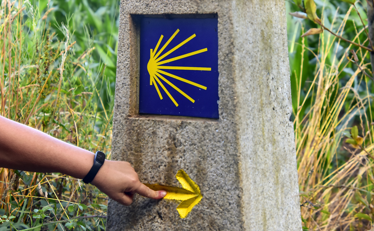 Camino de peregrinación